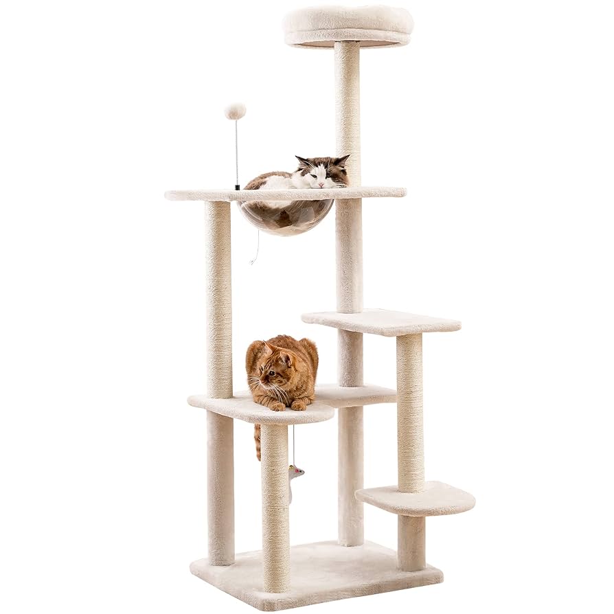 Amazon | lifesia キャットタワー 猫タワー シングル 宇宙船付き